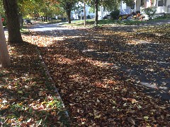 Park Avenue; Canandaigua, NY